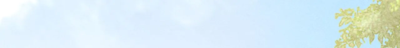 第174话 我爱的人是你 第53页