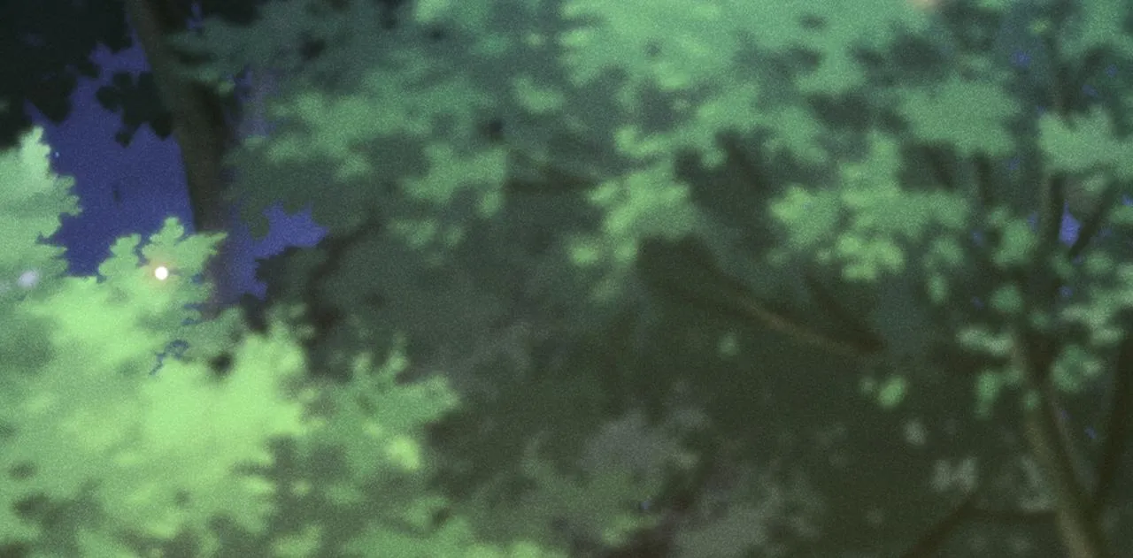 第175话 非你不可 第30页