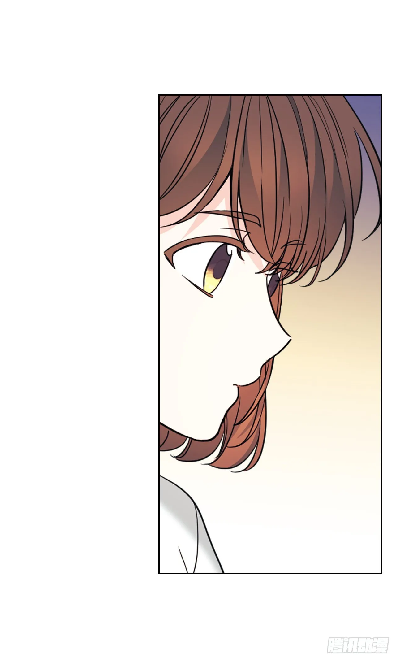 160.支持 第45页