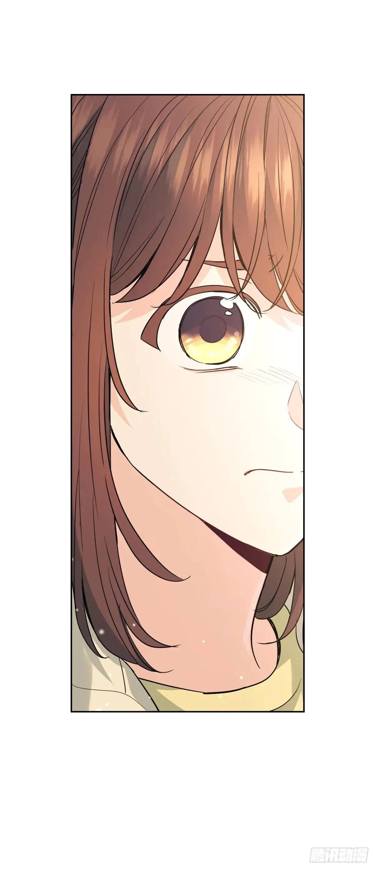 194.命运 第29页