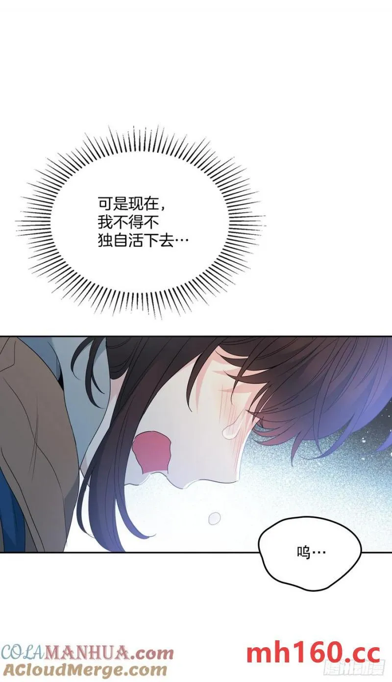 206.网络小说 第37页