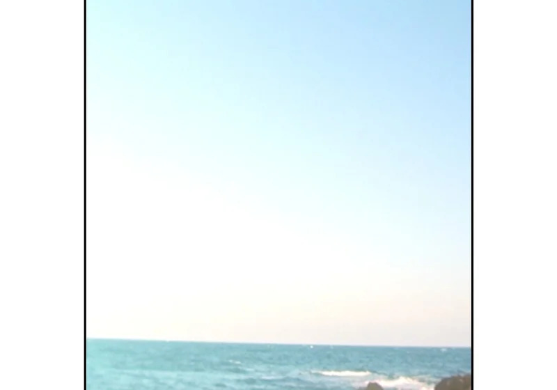 265.后知后觉 第109页
