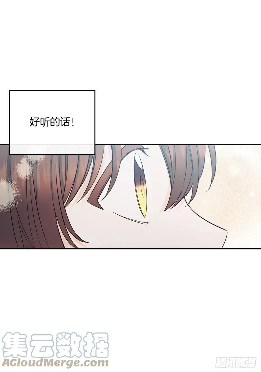 113.重新尝试 第13页
