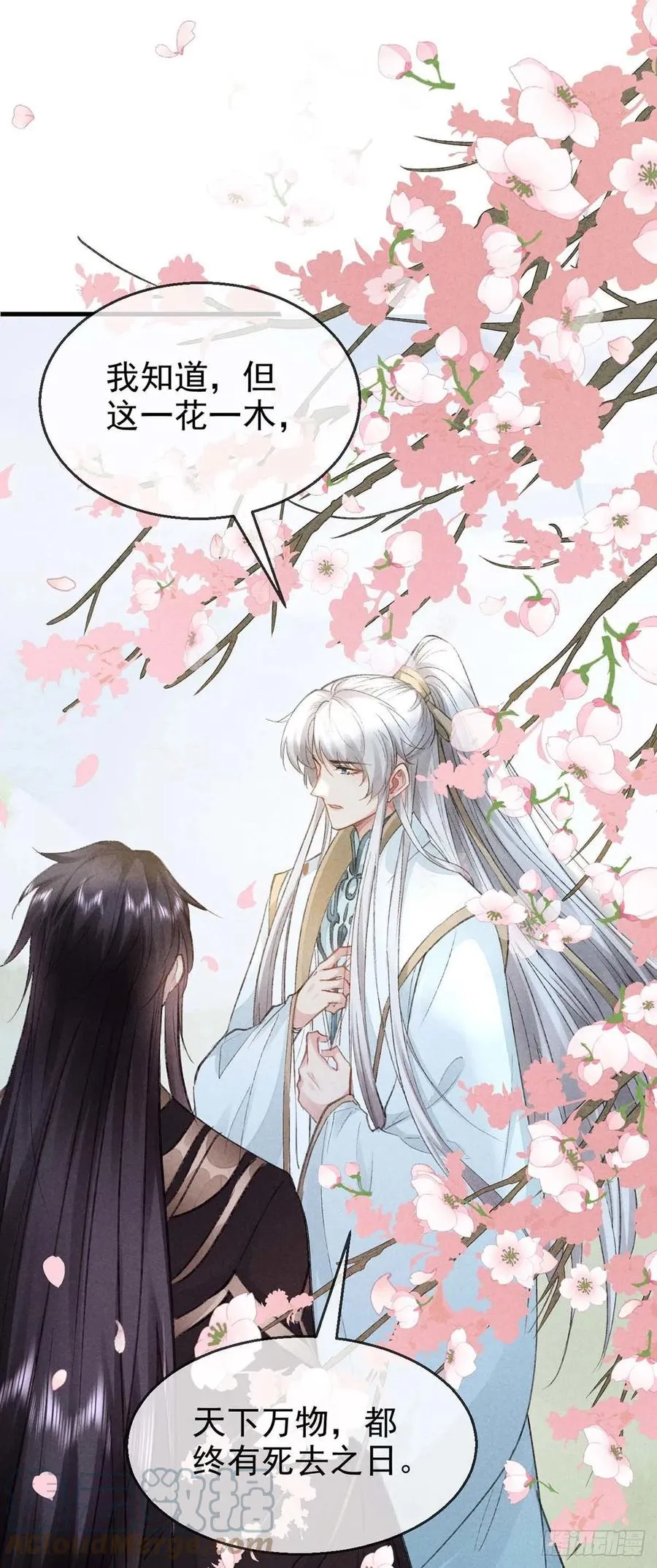 第43话 我不懂你的感情 第13页