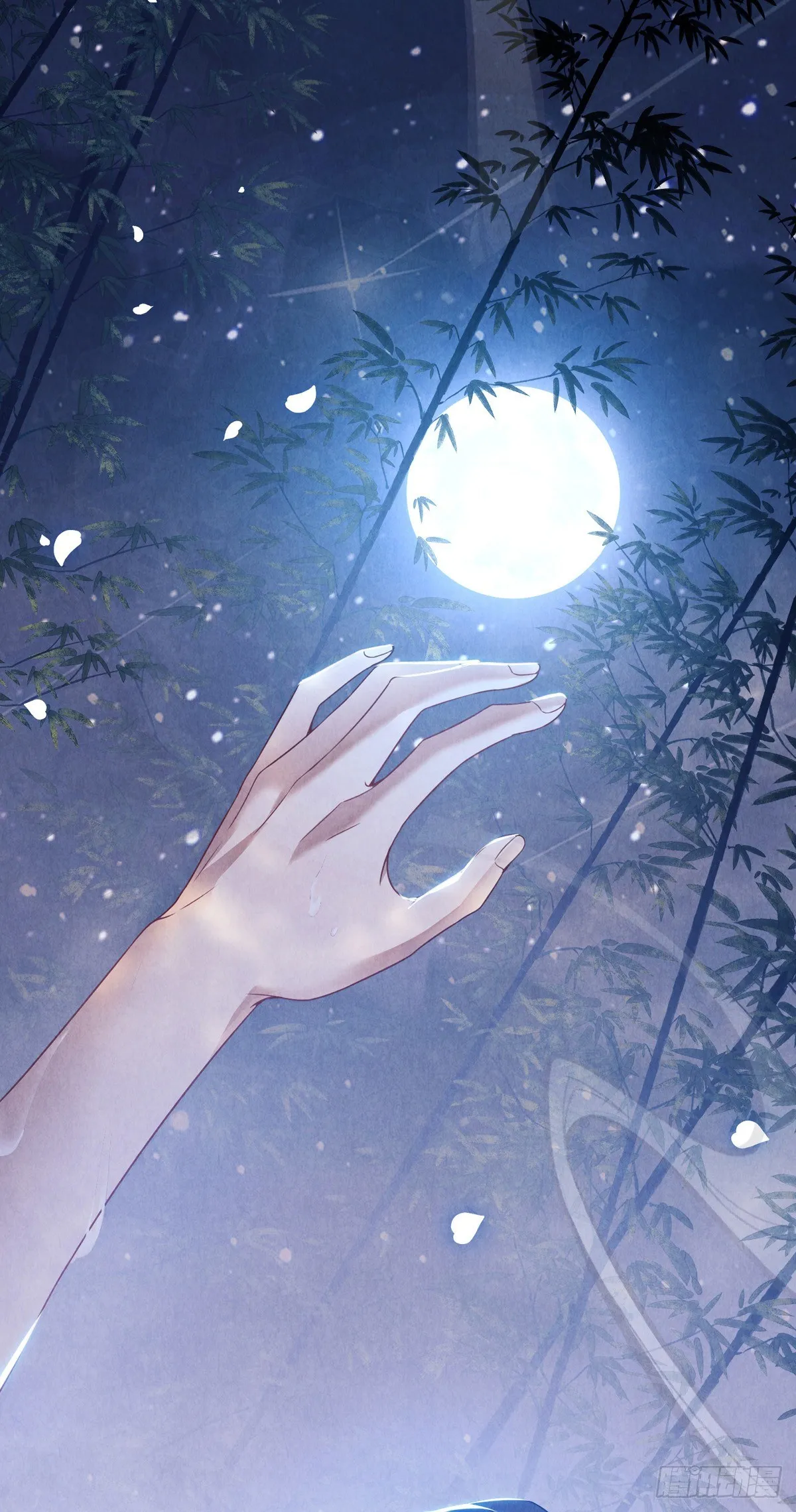 第2话 师父，明日去看寒星花吧 第20页