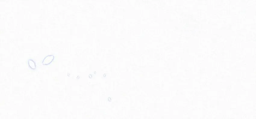 058 一起，好不好。 第11页