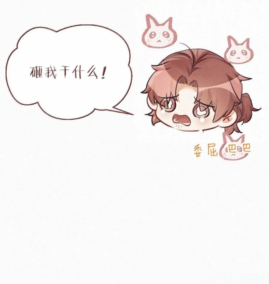 151 我相信你会做出正确的选择。 第5页