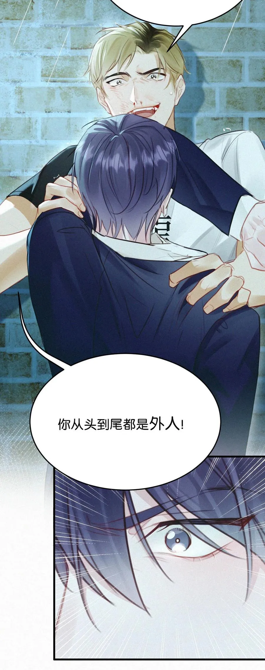 030 从头到尾都是外人。 第38页