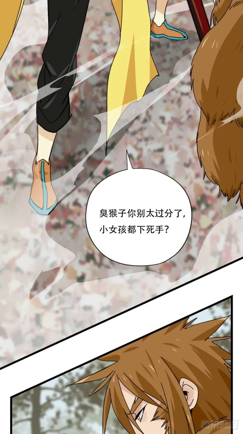 七十二，美猴王孙悟空（六） 第14页