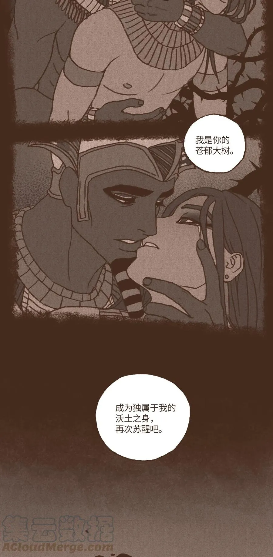 44 只为复仇 第13页