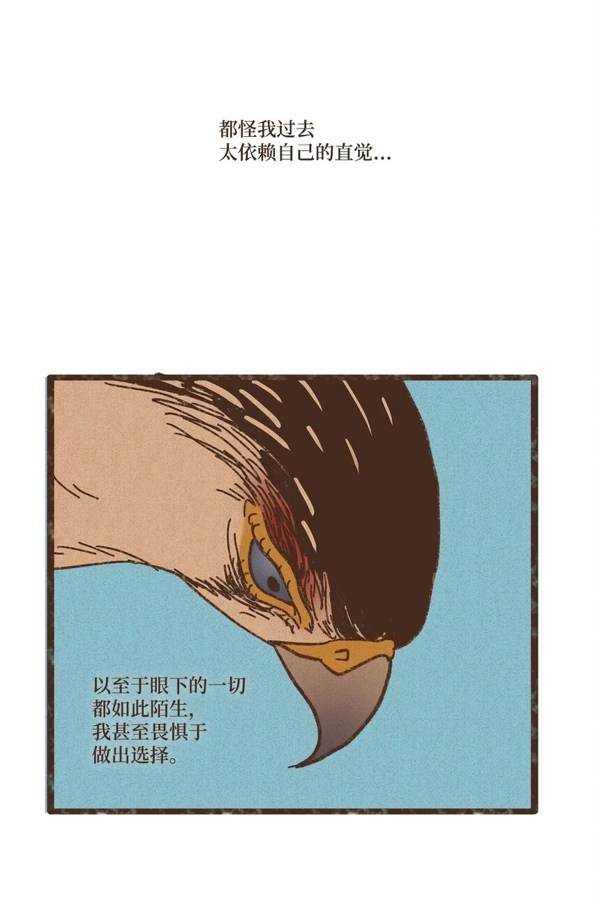 122 踏遍每一寸土地 第22页