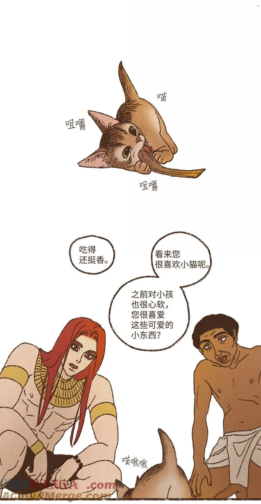 161 我儿子喜欢猫 第3页