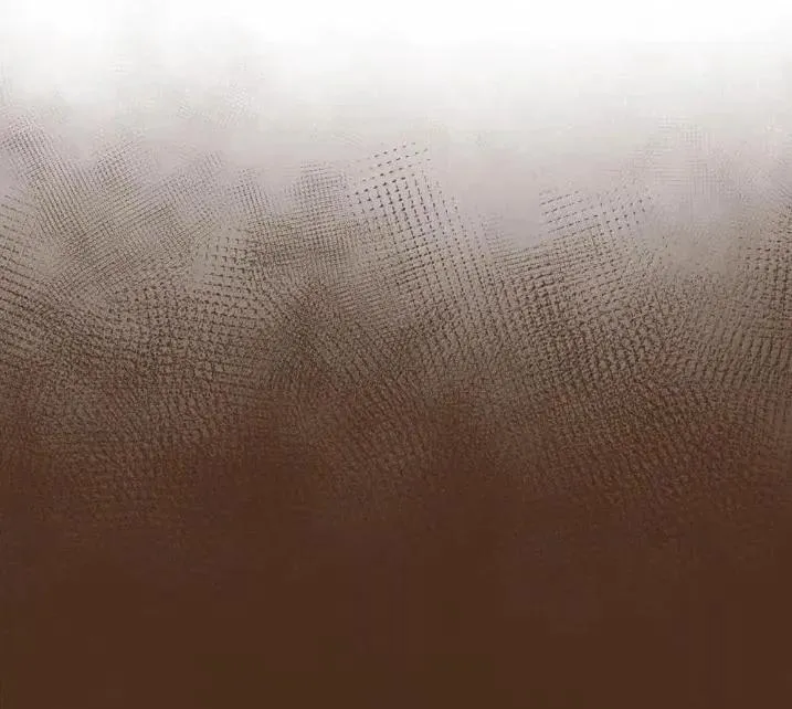 192 所求之物就在咫尺 第51页