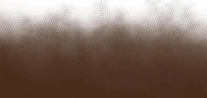 192 所求之物就在咫尺 第66页