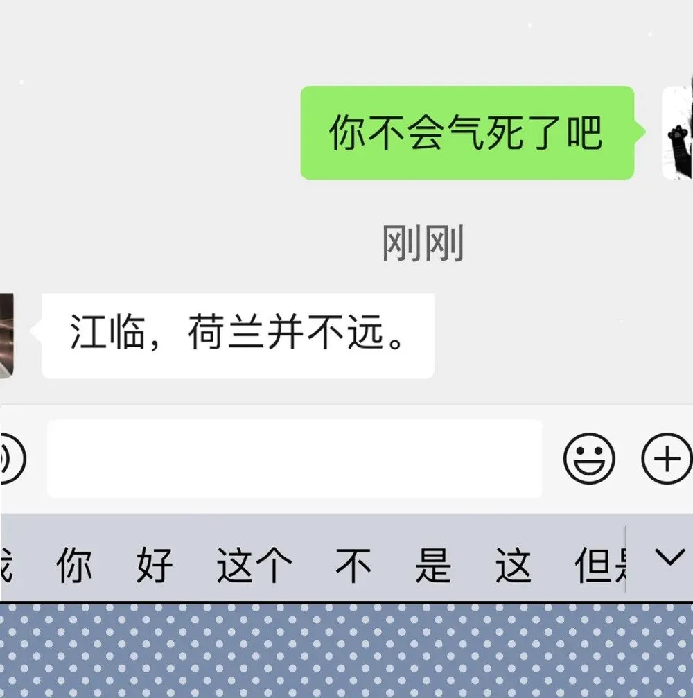 150 荷兰并不远 第6页