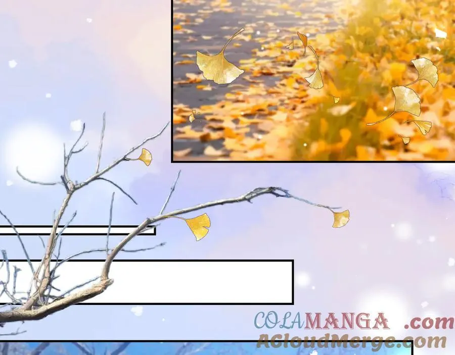 第191话：获奖！ 第13页