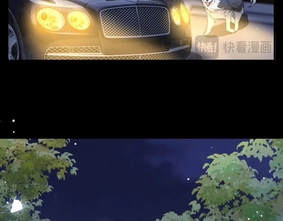第197话 一起看流星雨 第60页