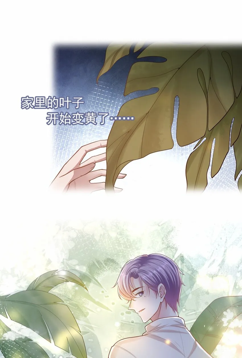 第27话 许承宴喜欢 第2页