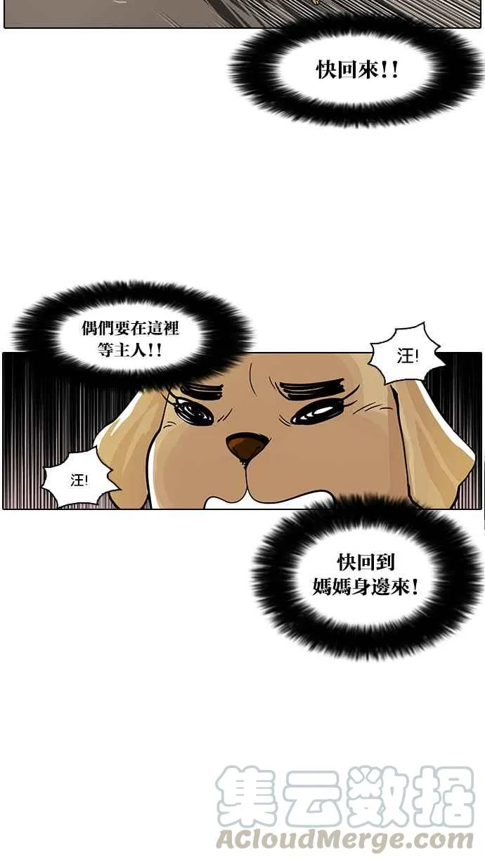 [第62话] 流浪犬 - 伊奴（结尾） 第37页