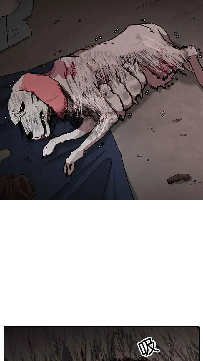 [第150话] 虐待动物 [2_4] 第28页