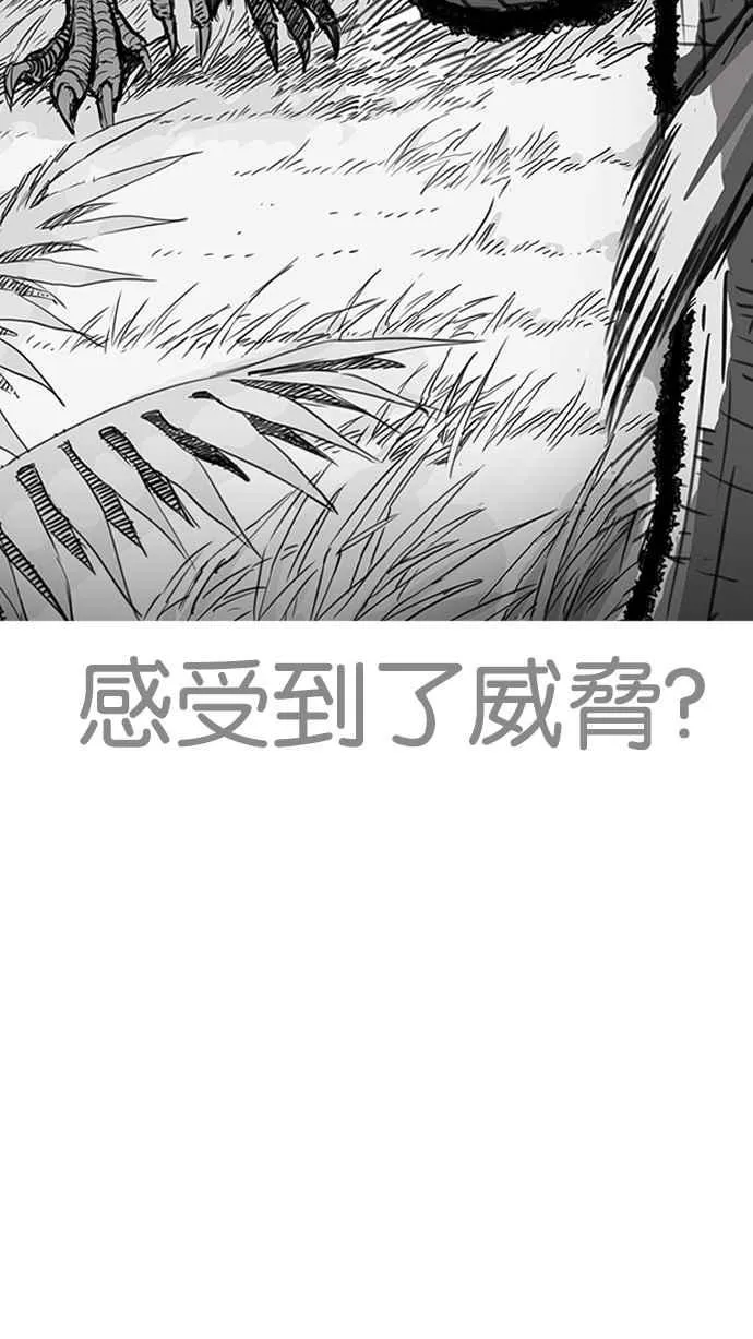[第203话] 帝犬联盟 [05] 第50页