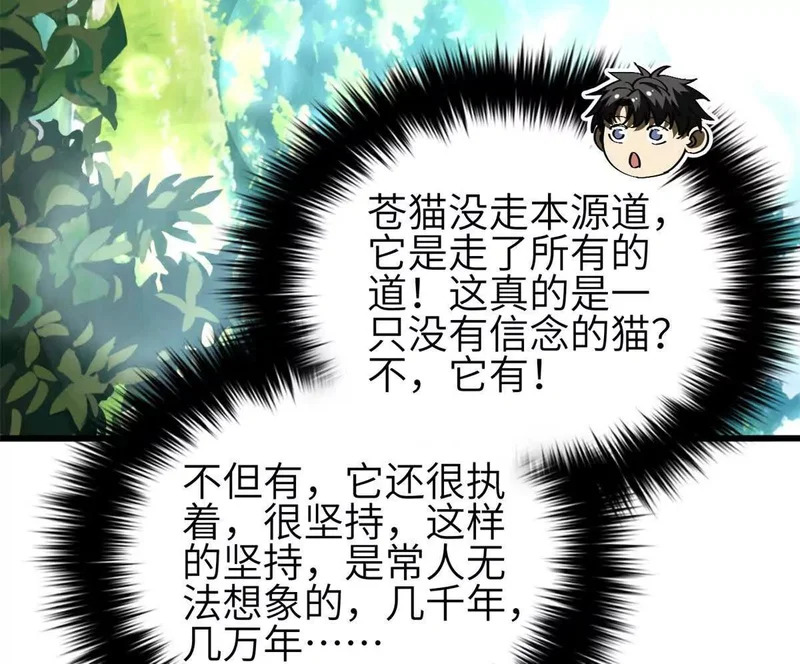 355 人不如猫 第6页