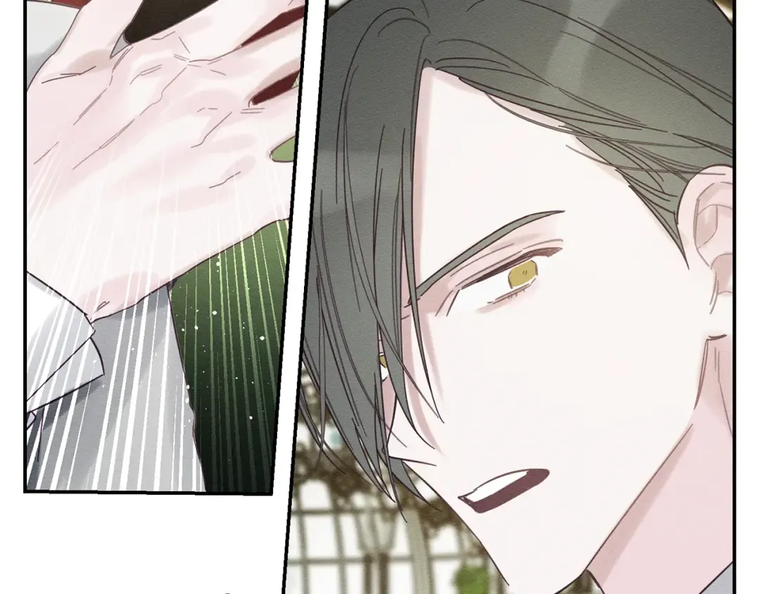 第39话 花的秘密 第37页