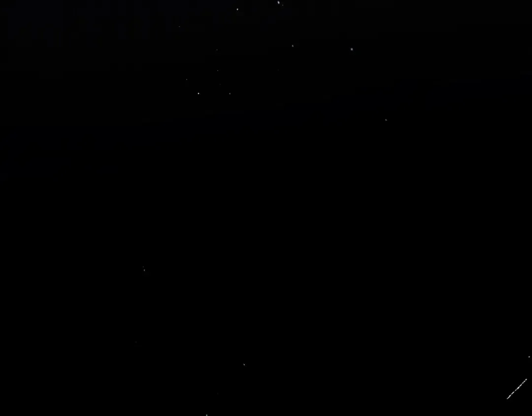 第39话 花的秘密 第181页