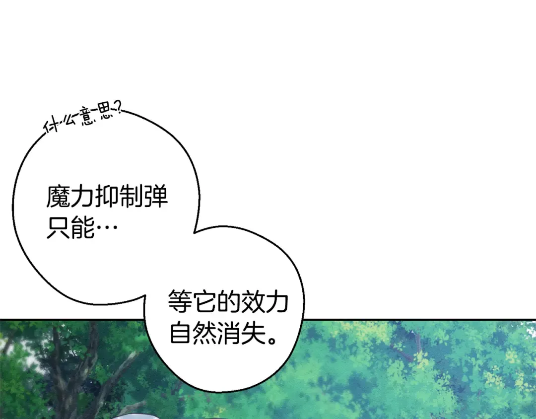 第82话 精灵法器 第99页