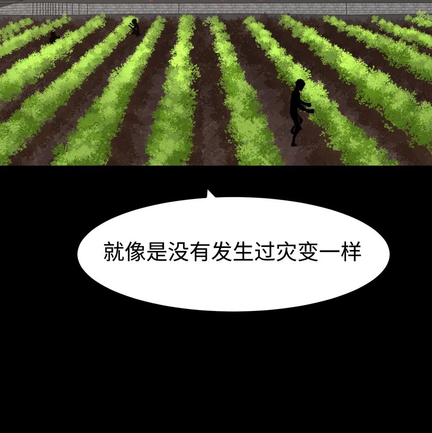 075 未被打扰的城市 第15页