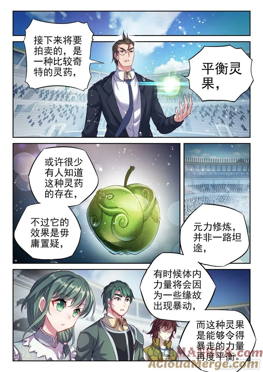 205 万象拍卖会 第13页