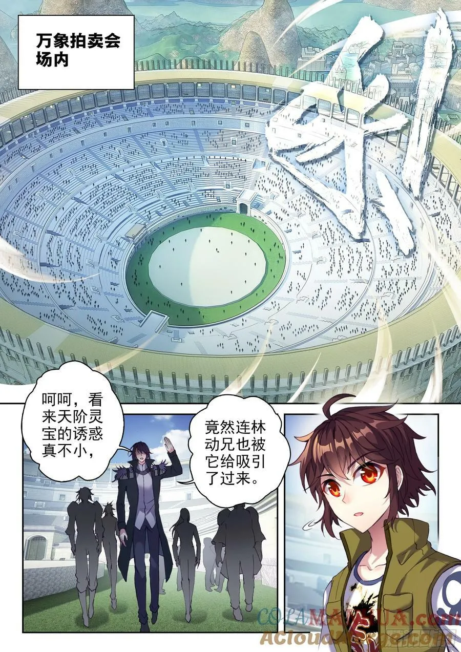 205 万象拍卖会 第3页