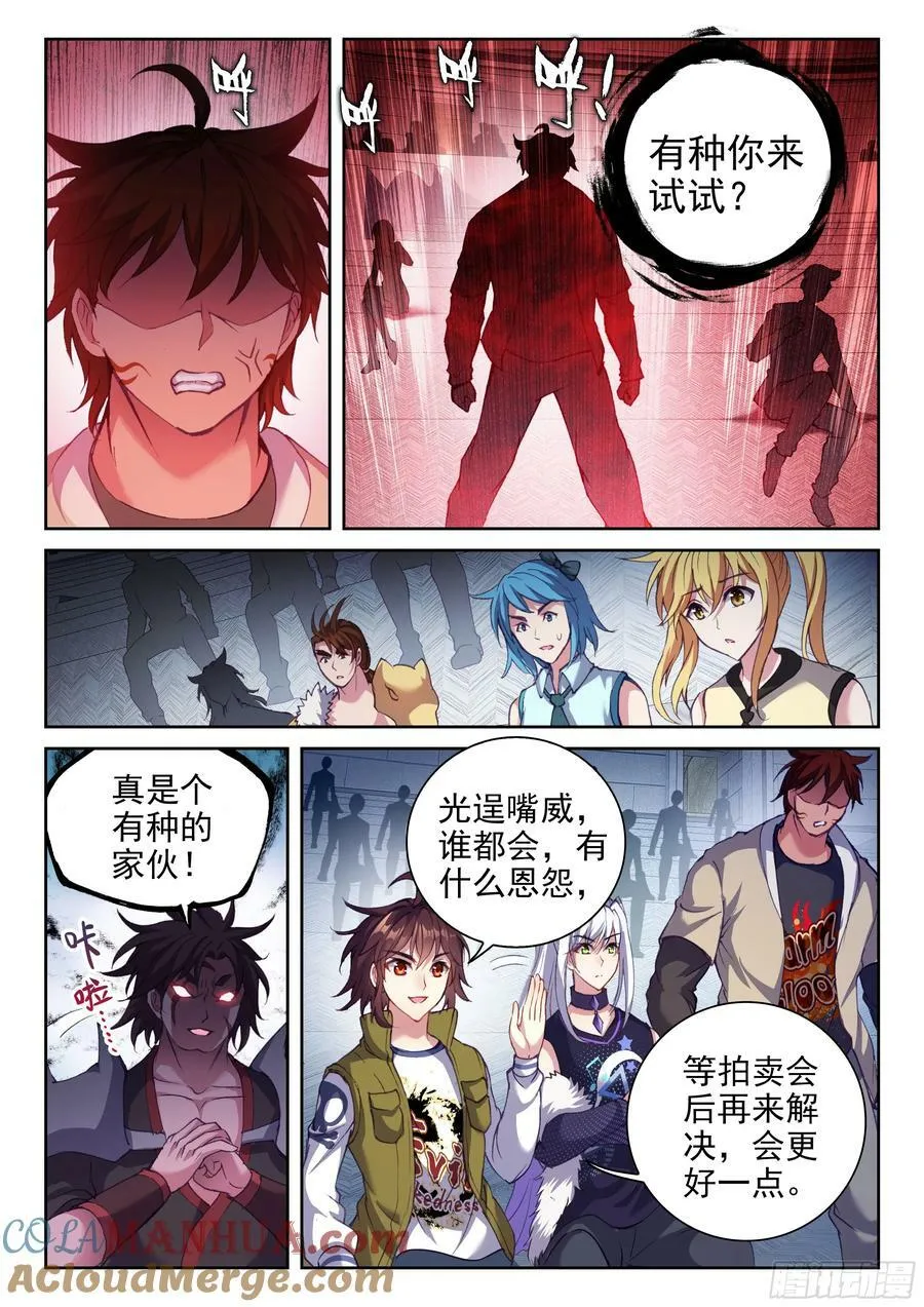 205 万象拍卖会 第9页