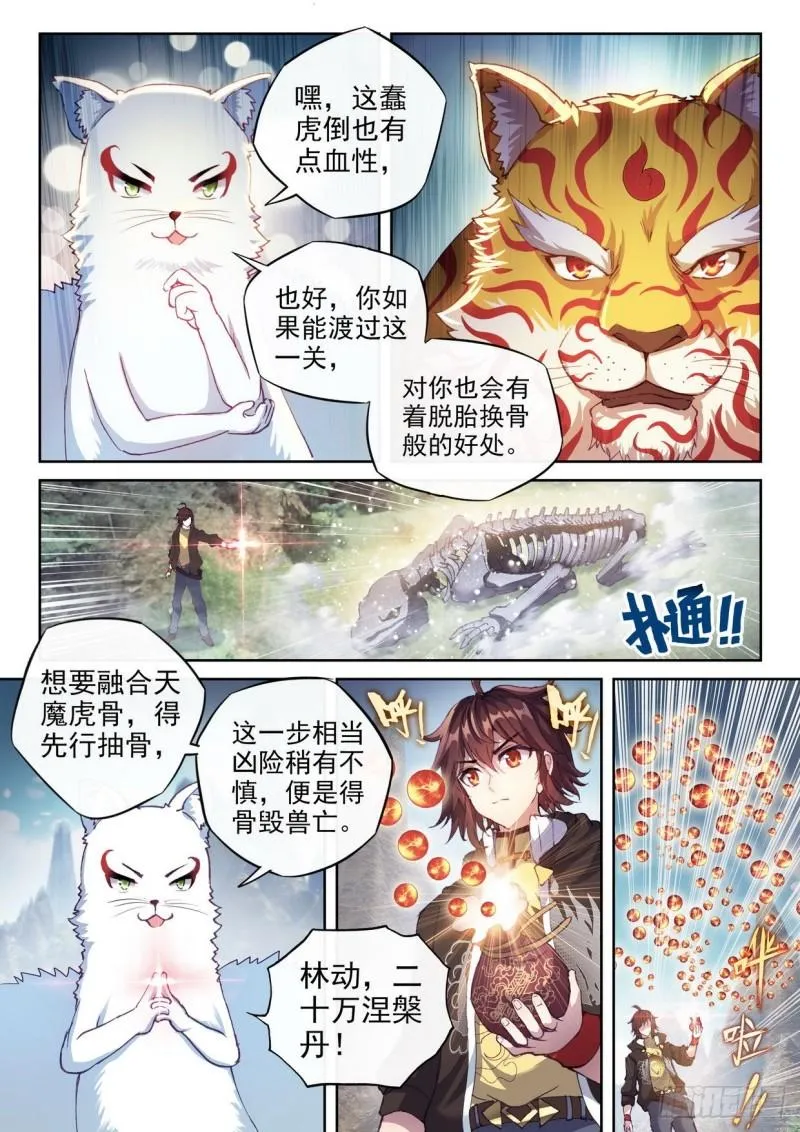 154 虎骨到手 第15页