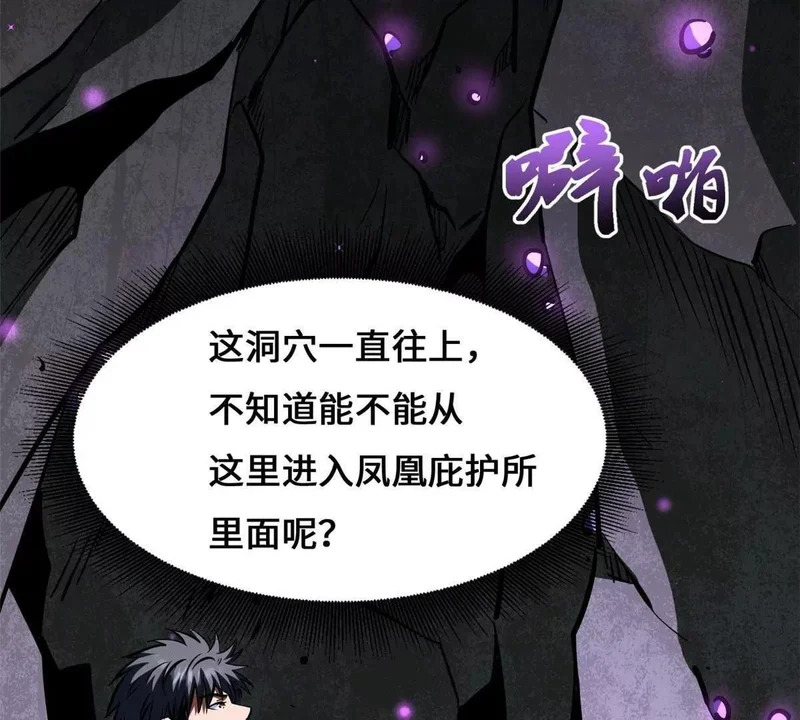 442 百鸟朝凤之所 第31页